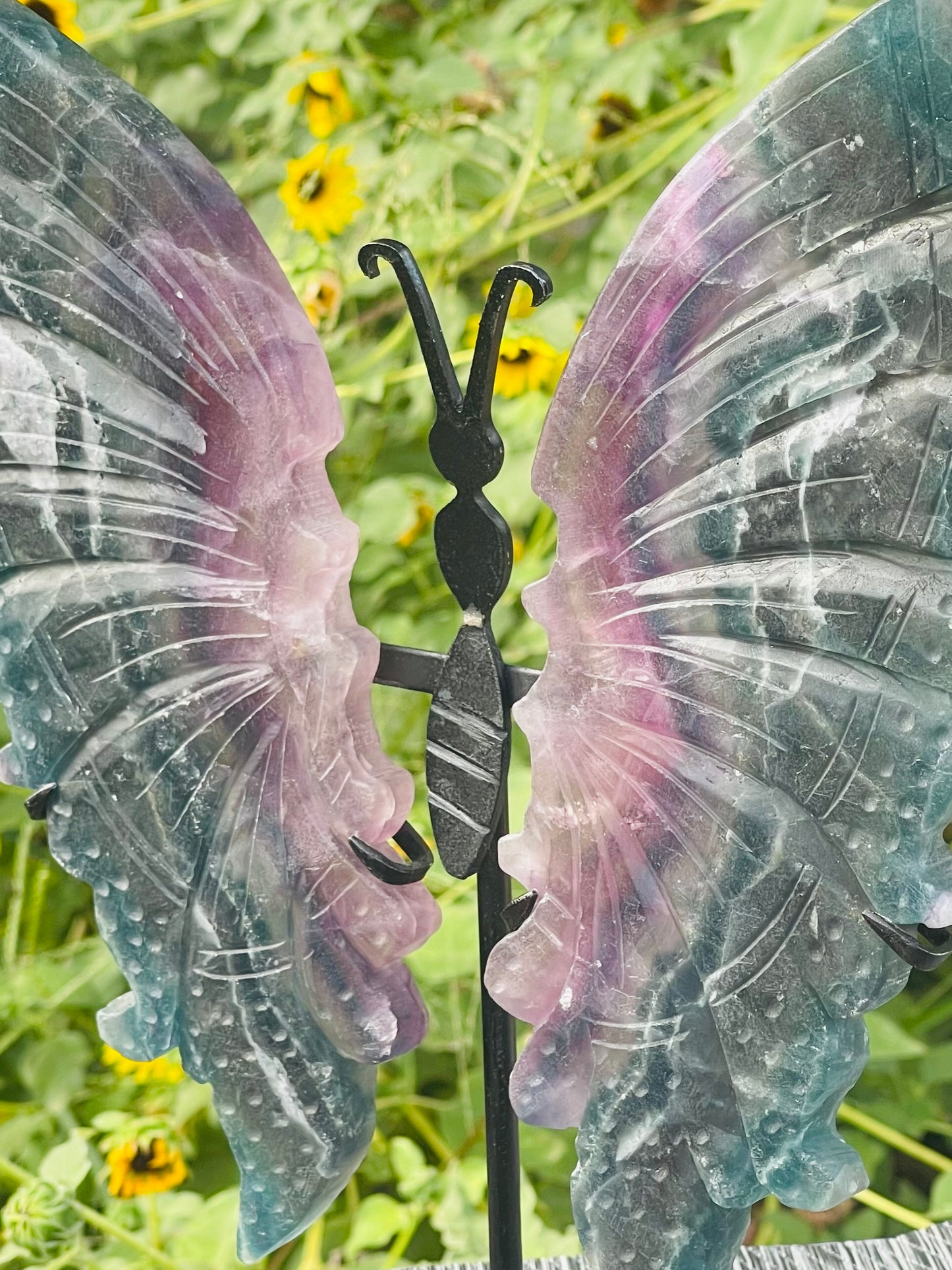 Fluorite Butterfly Wings Black Stand