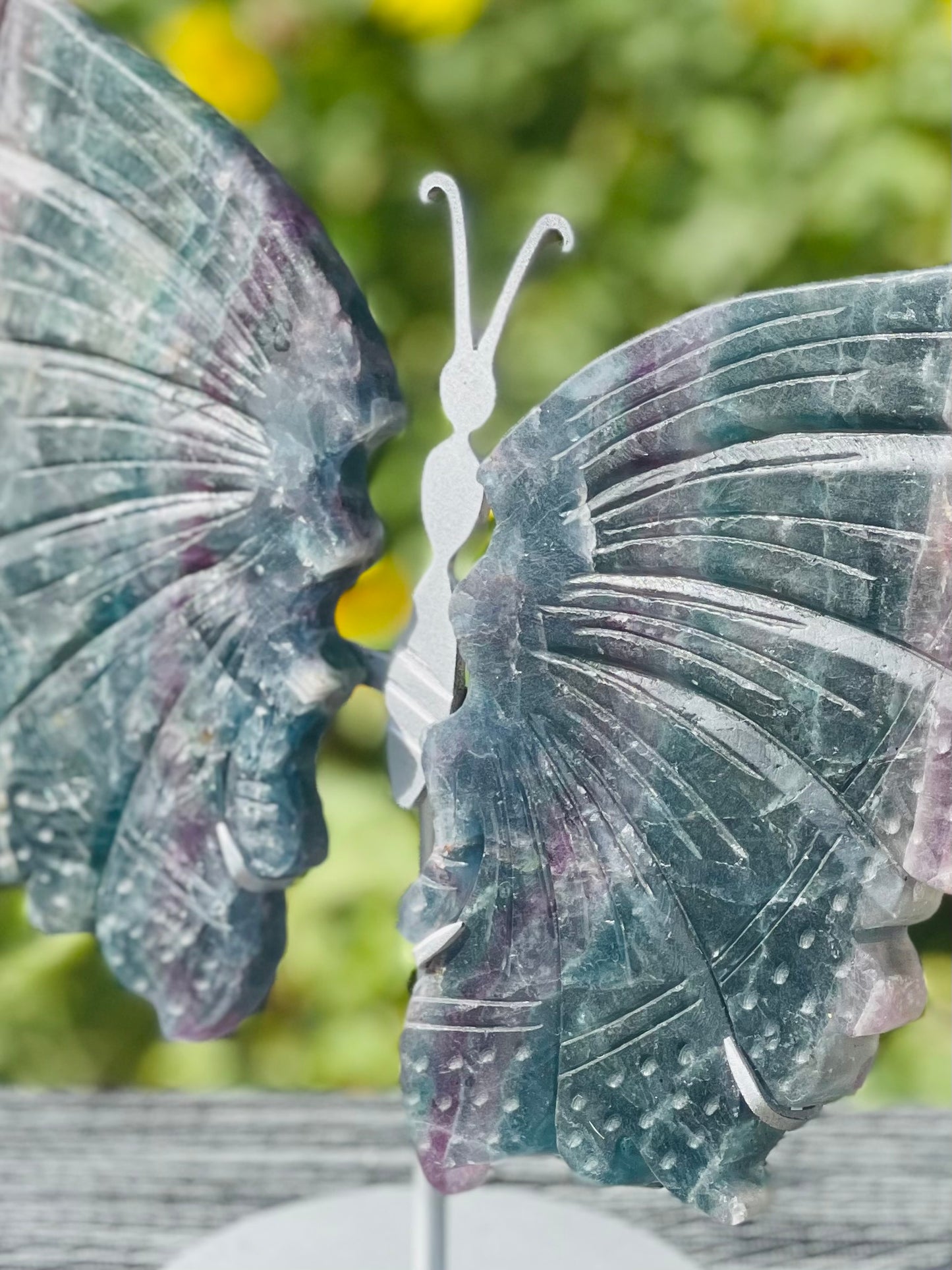 Fluorite Butterfly Wings Silver Stand
