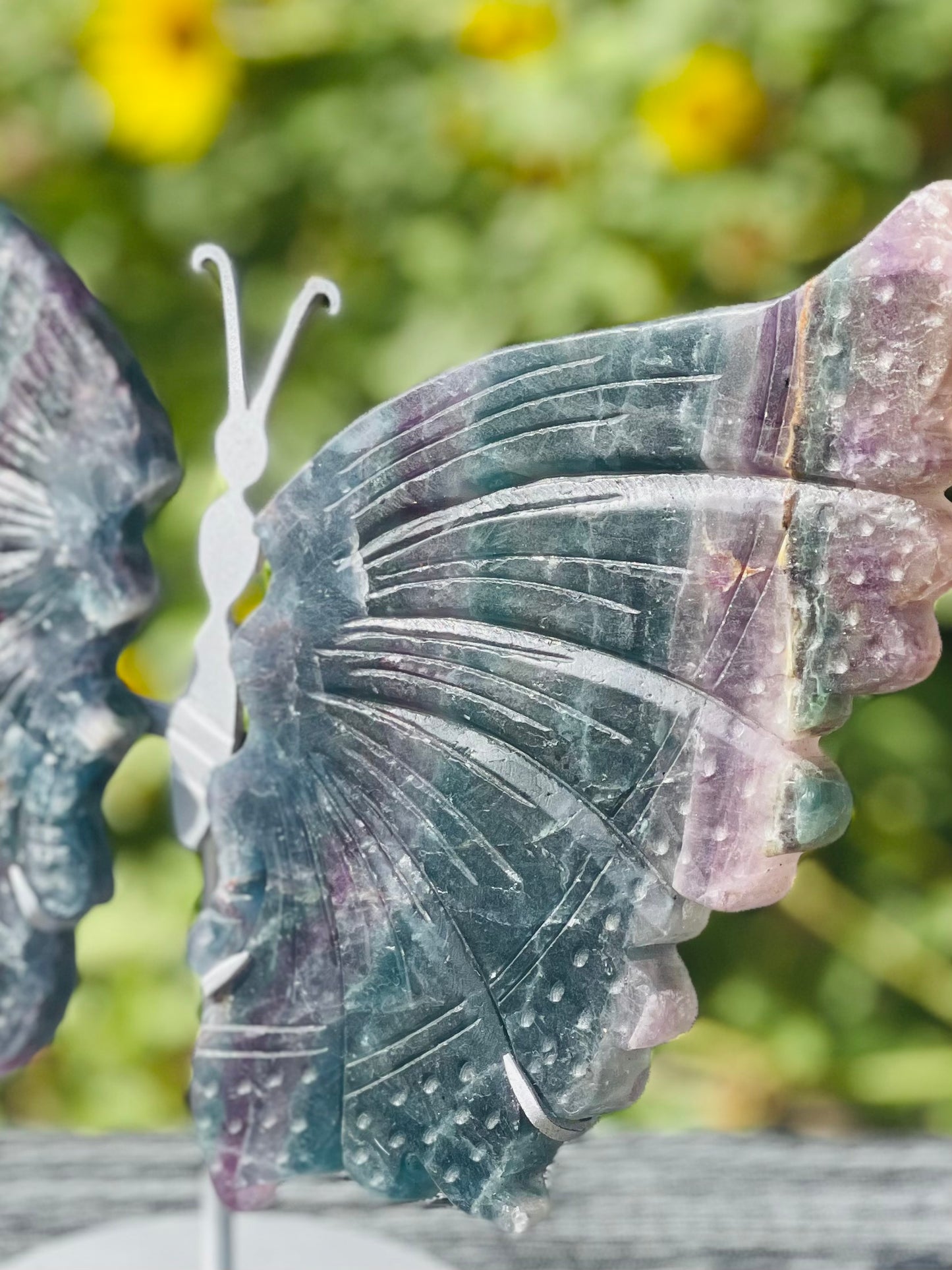 Fluorite Butterfly Wings Silver Stand