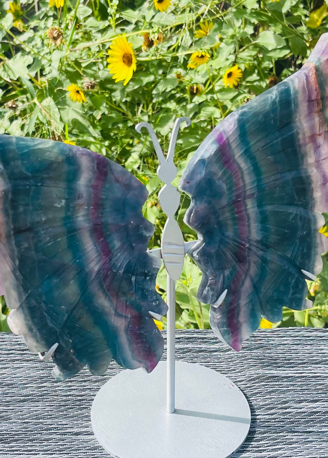 Fluorite Butterfly Wings Silver Stand