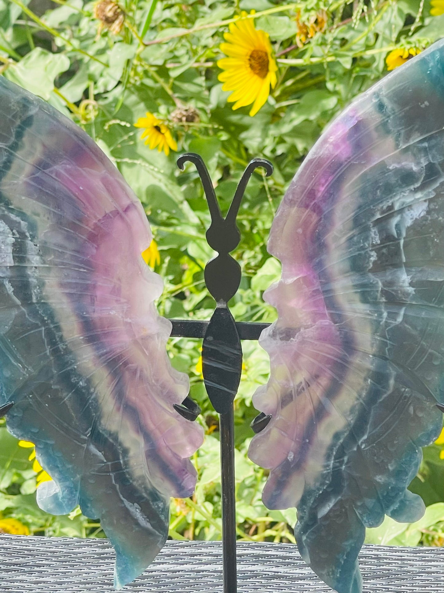 Fluorite Butterfly Wings Black Stand