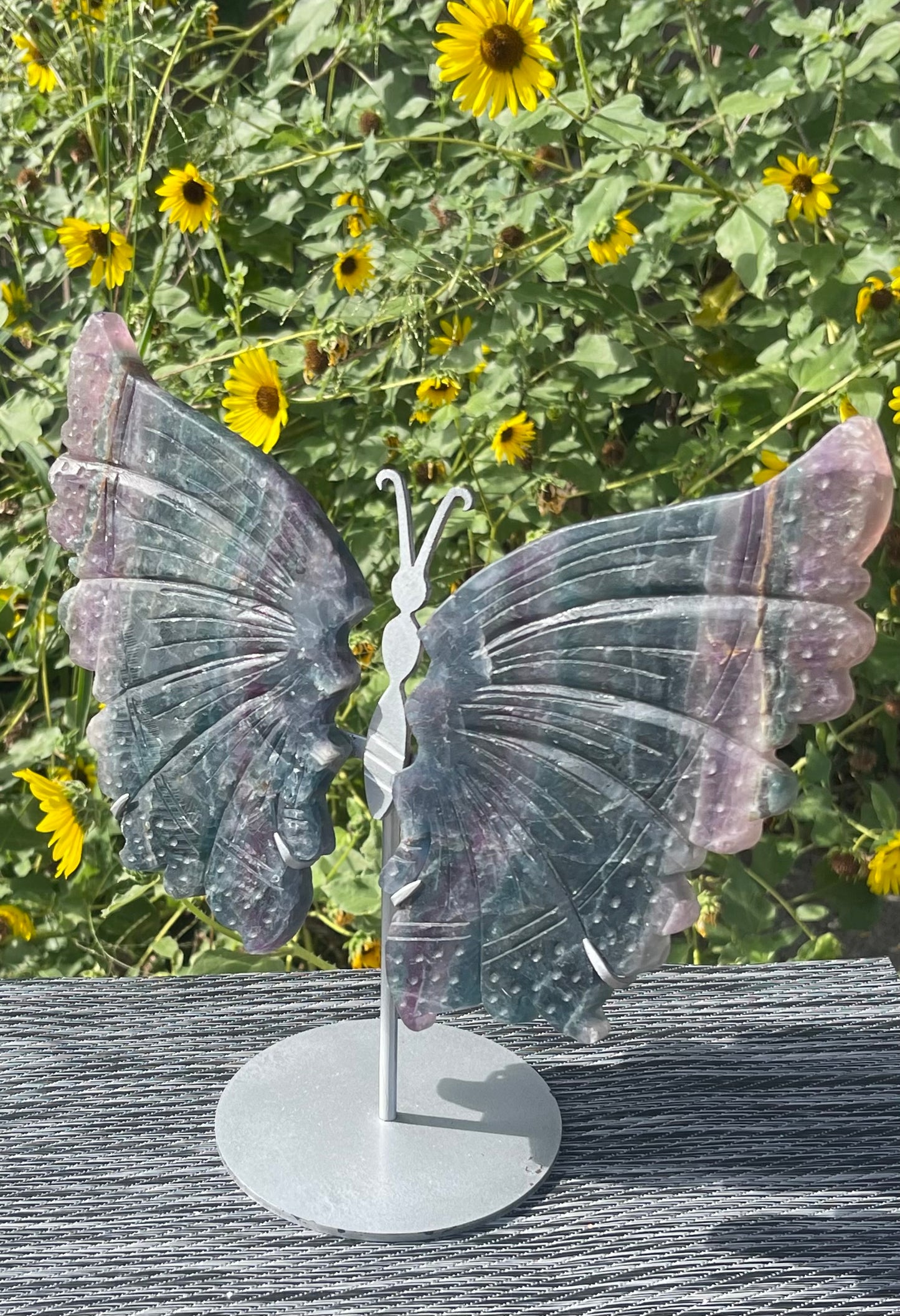 Fluorite Butterfly Wings Silver Stand