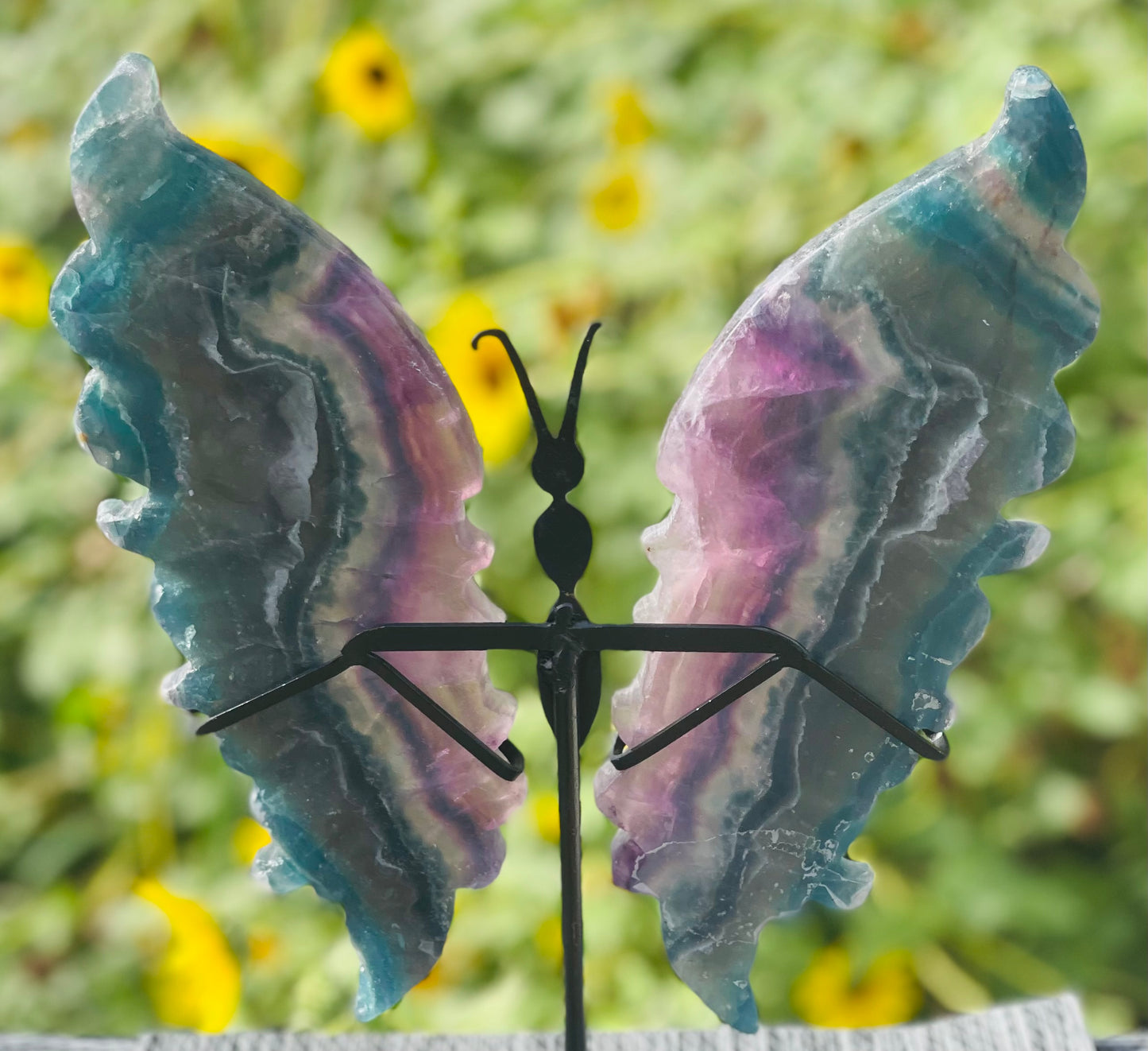 Fluorite Butterfly Wings Black Stand