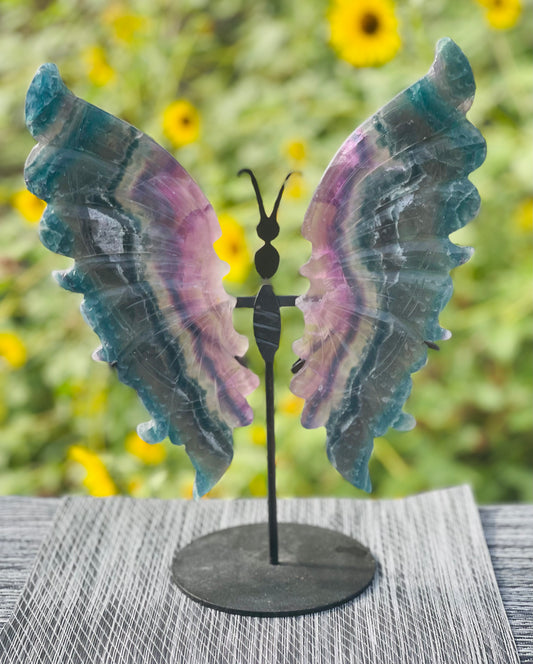 Fluorite Butterfly Wings Black Stand