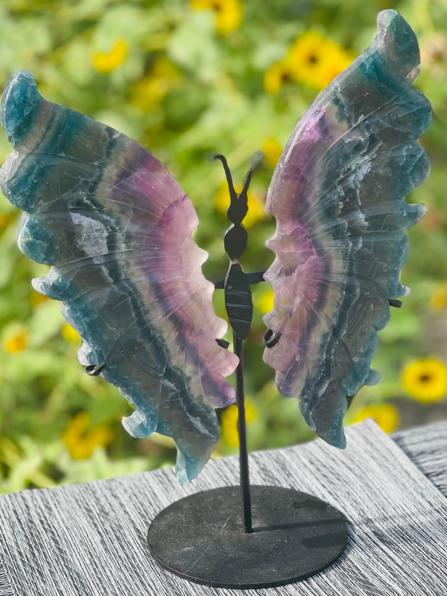 Fluorite Butterfly Wings Black Stand