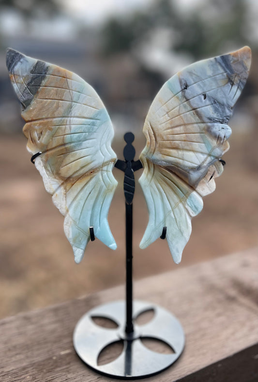 Caribbean Calcite Butterfly Wings