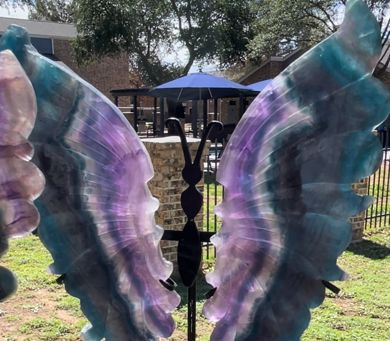 Fluorite Butterfly Wings