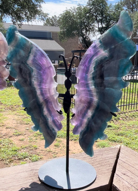 Fluorite Butterfly Wings